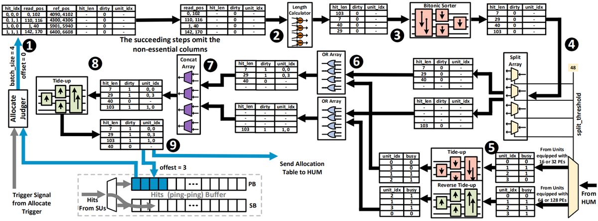 NvWa: Enhancing Sequence Alignment Accelerator Throughput via  Hardware Scheduling